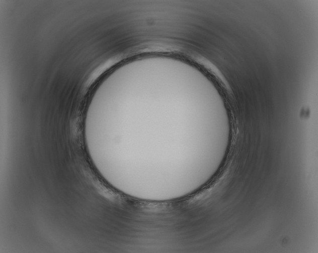 X0000093560874200710150954