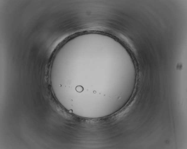 X0000093560875200710150954