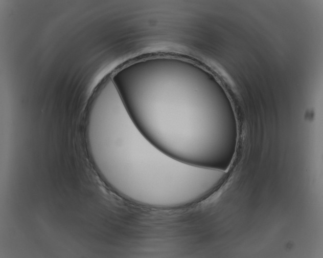 X0000093560877200710150954