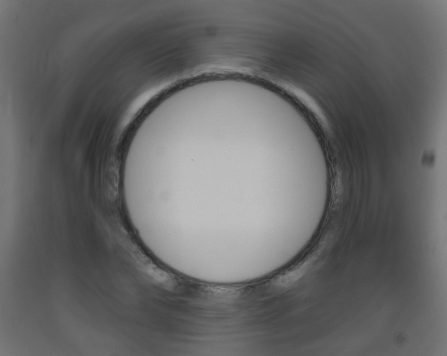 X0000093560878200710150954