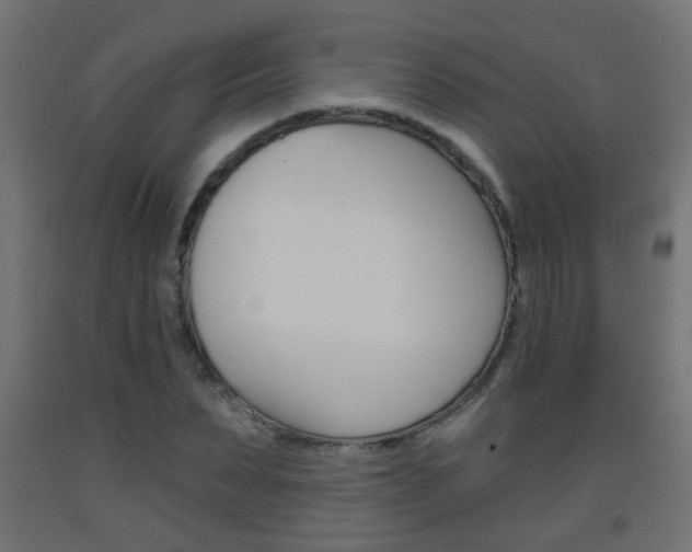 X0000093560879200710150954