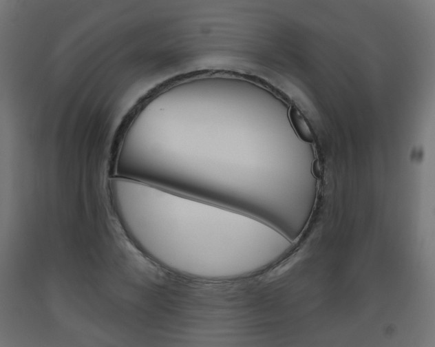 X0000093560880200710150954
