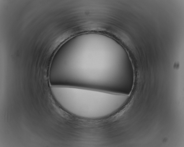 X0000093560881200710150954