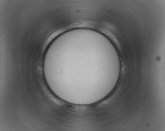 X0000093560882200710150954