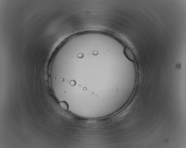 X0000093560883200710150954