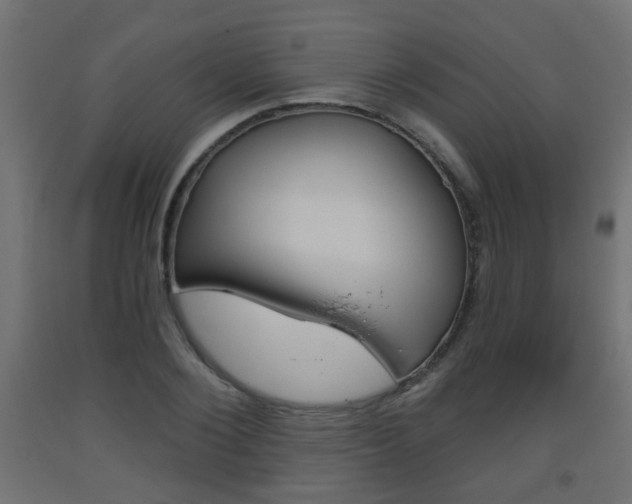 X0000093560884200710150954