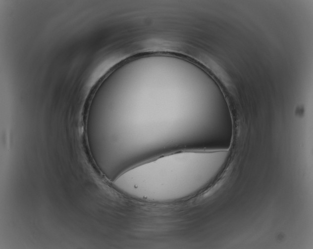 X0000093560885200710150954