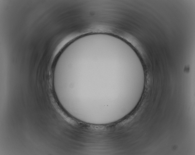 X0000093560886200710150954