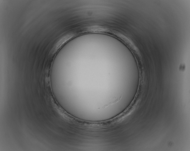 X0000093560889200710150954