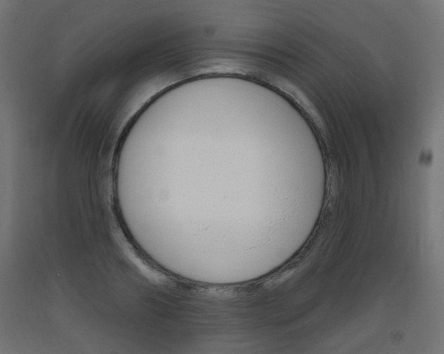 X0000093560890200710150954