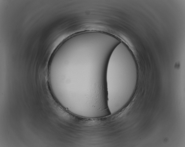 X0000093560891200710150954