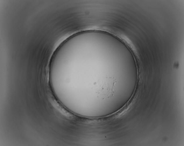 X0000093560892200710150954
