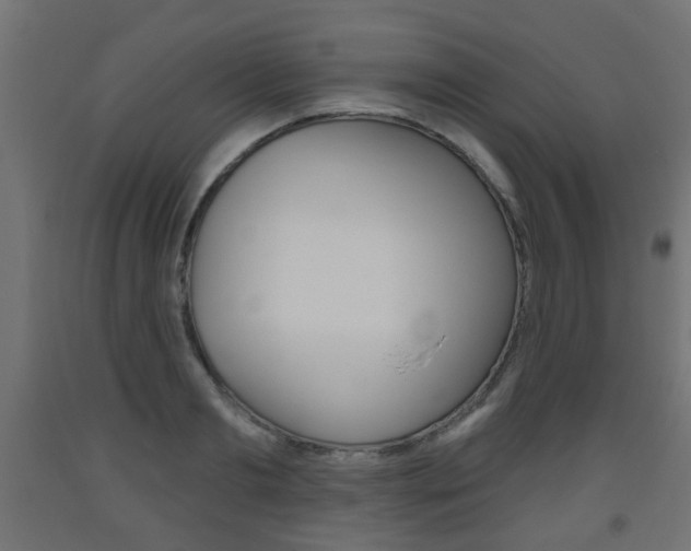 X0000093560893200710150954