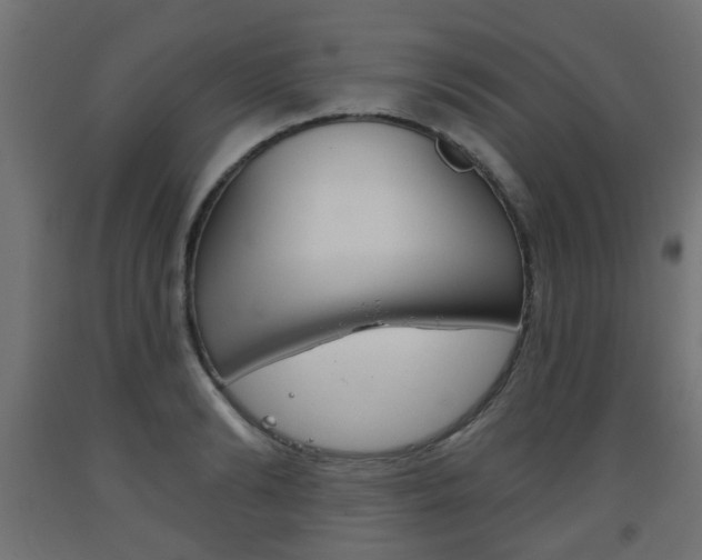 X0000093560894200710150954