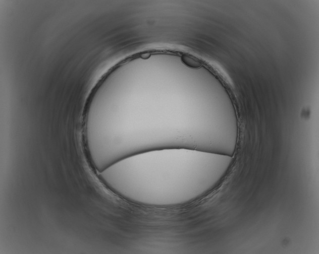 X0000093560895200710150954