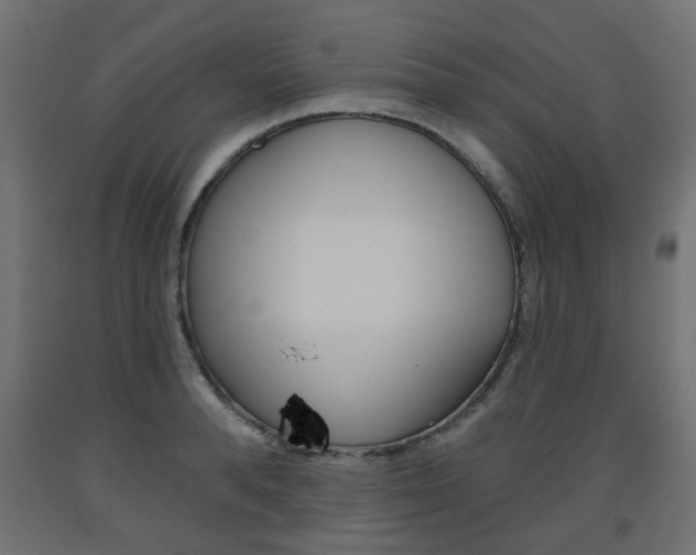 X0000093560896200710150954