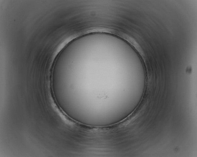 X0000093560898200710150954