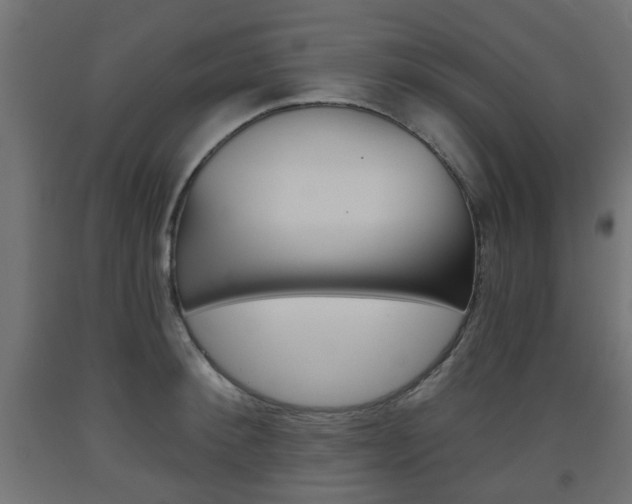 X0000093560900200710150954