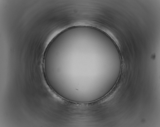 X0000093560901200710150954