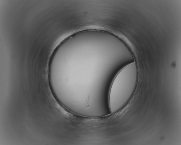 X0000093560902200710150954