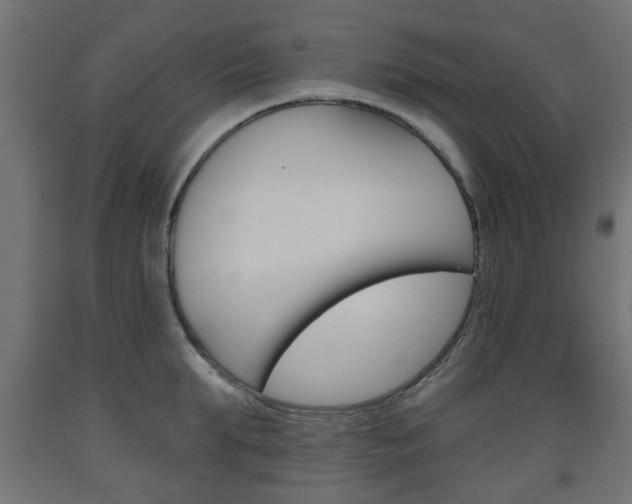 X0000093560903200710150954