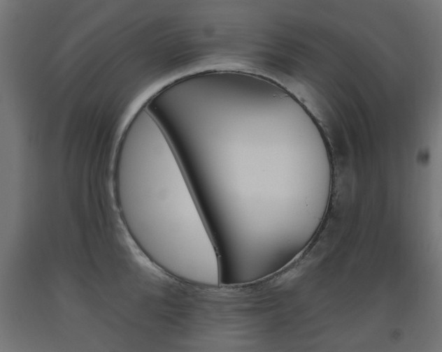 X0000093560904200710150954