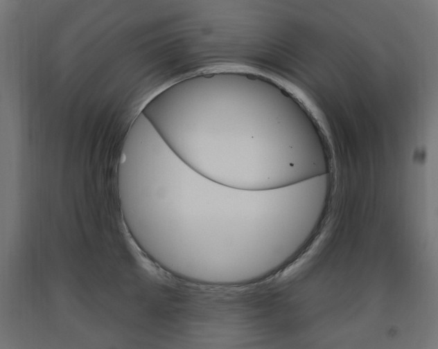 X0000093560905200710150954