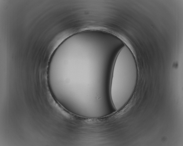 X0000093560906200710150954