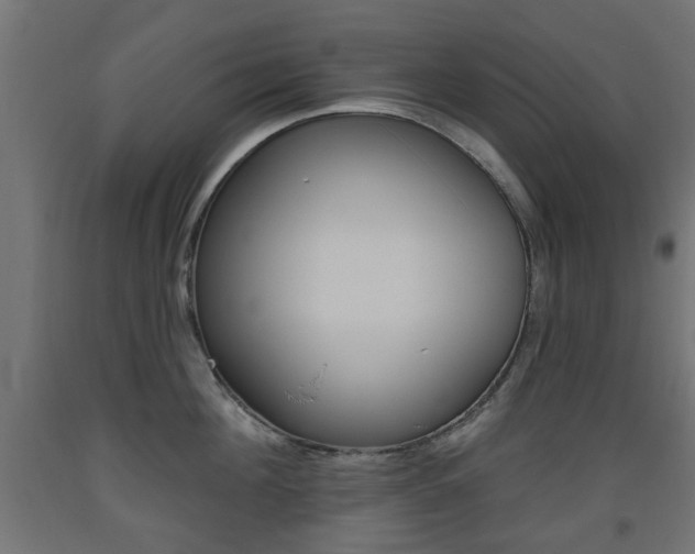 X0000093560908200710150954