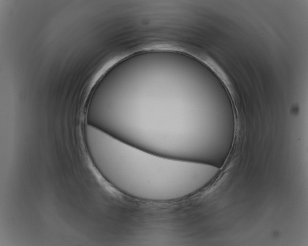 X0000093560909200710150954