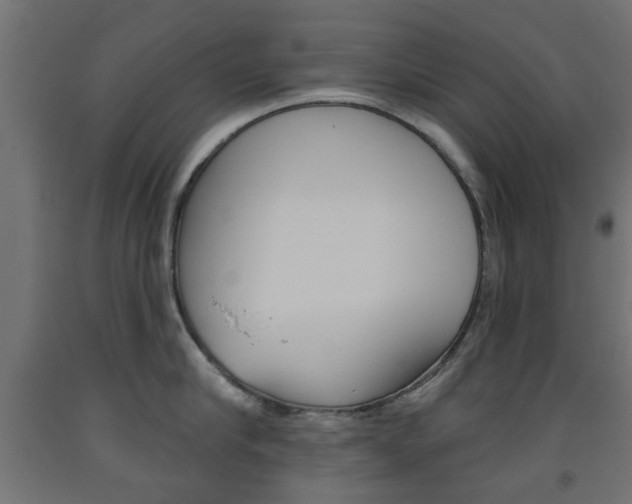 X0000093560910200710150954