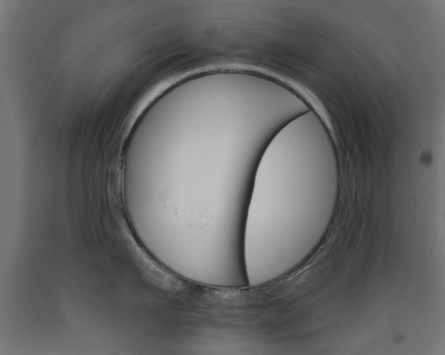 X0000093560911200710150954