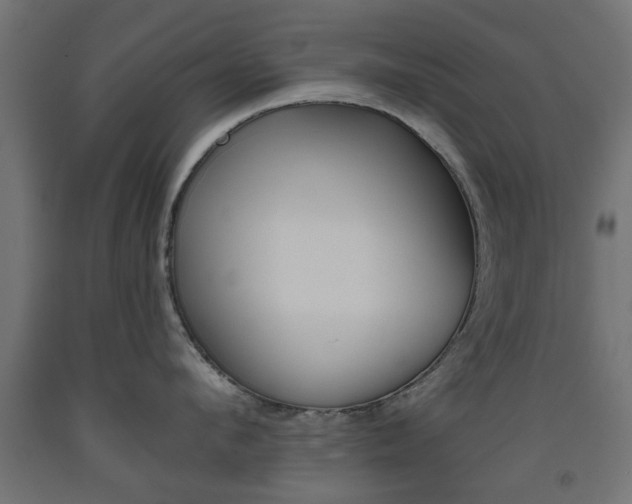 X0000093560912200710150954