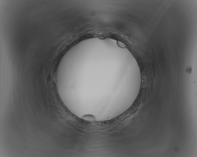 X0000093560913200710150953