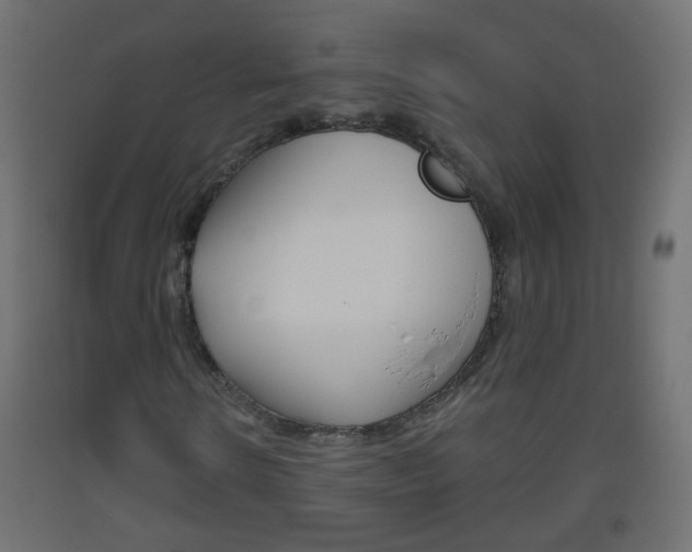 X0000093560914200710150953