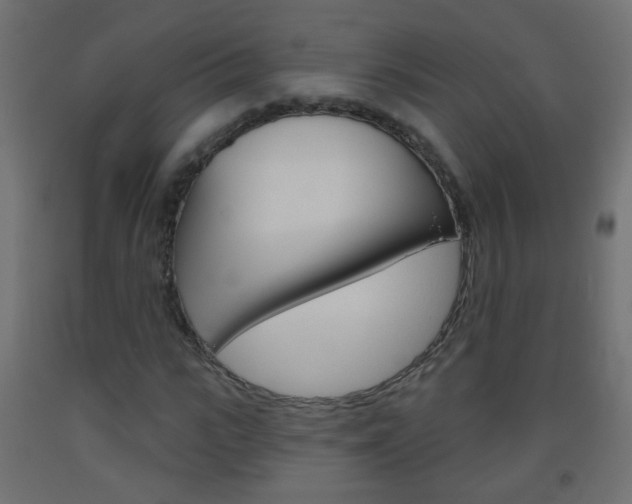X0000093560919200710150953