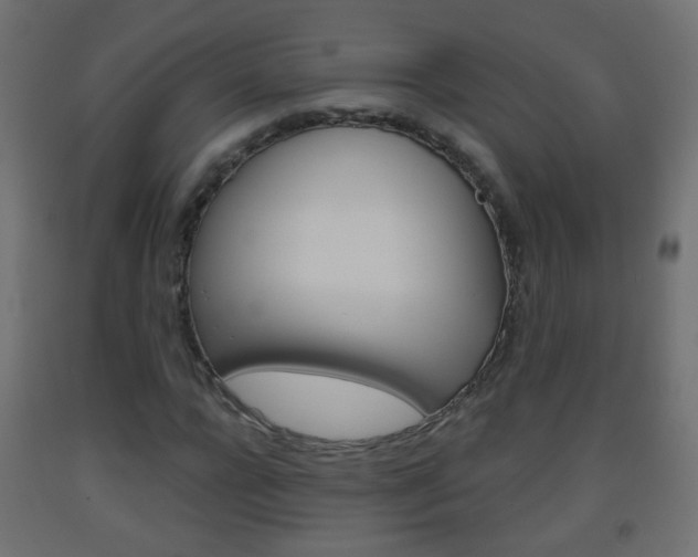 X0000093560920200710150953