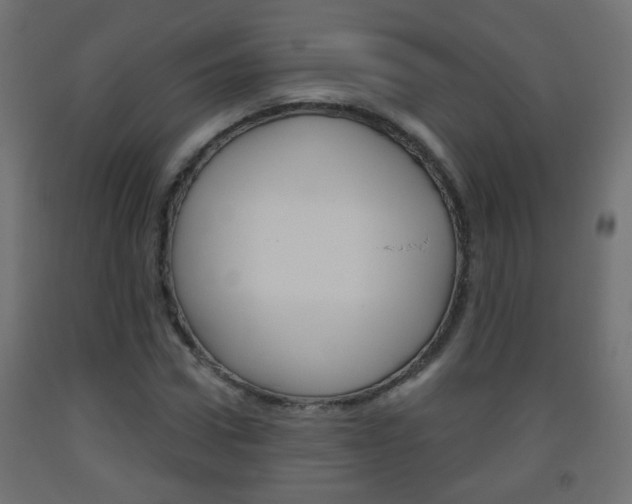 X0000093560922200710150953