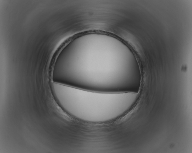 X0000093560924200710150953