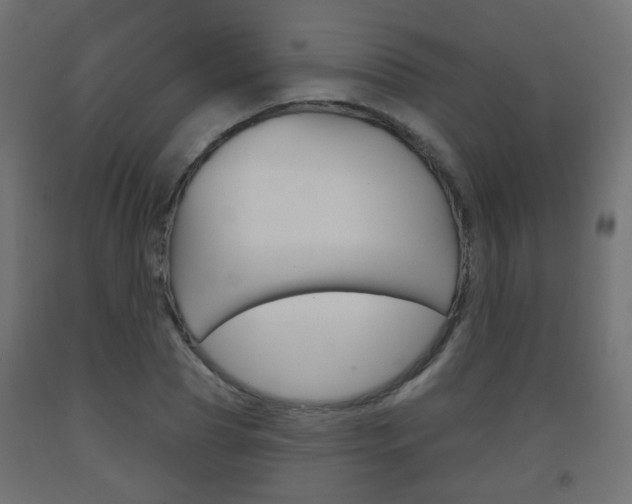 X0000093560929200710150953