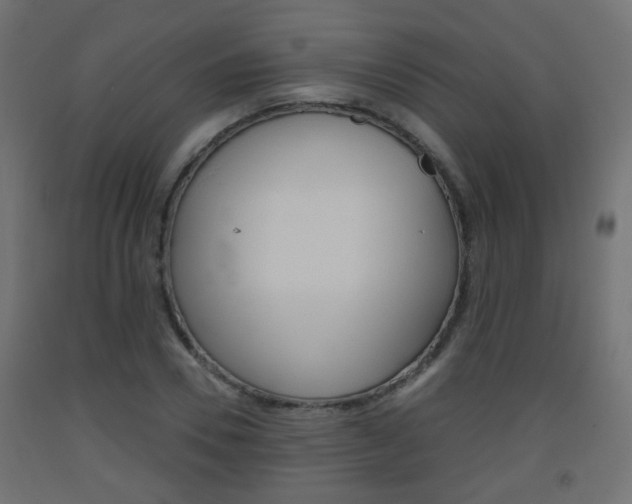 X0000093560930200710150953