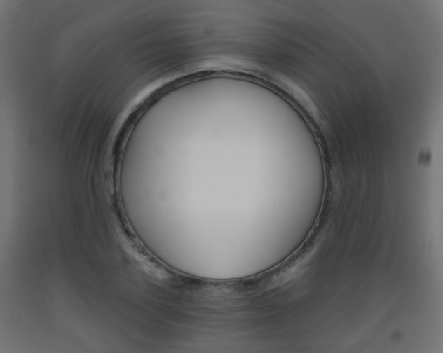 X0000093560931200710150953