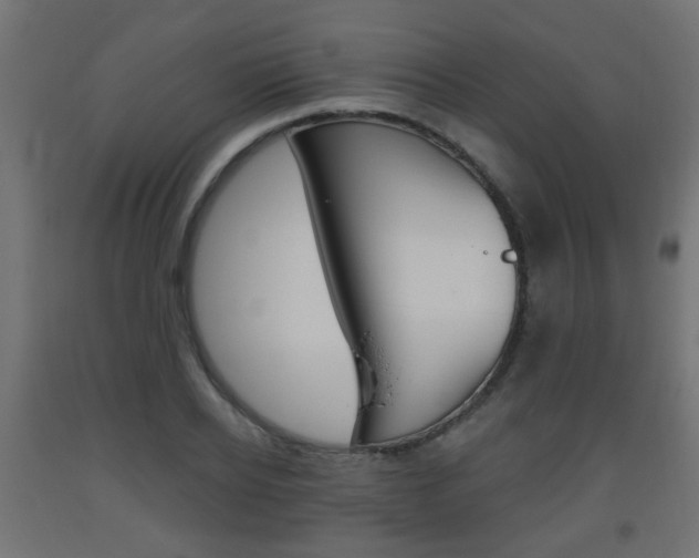 X0000093560934200710150953