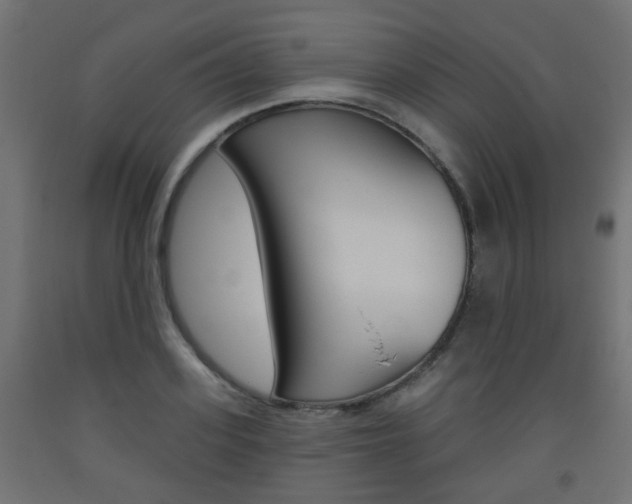 X0000093560939200710150953