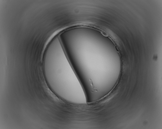 X0000093560940200710150953