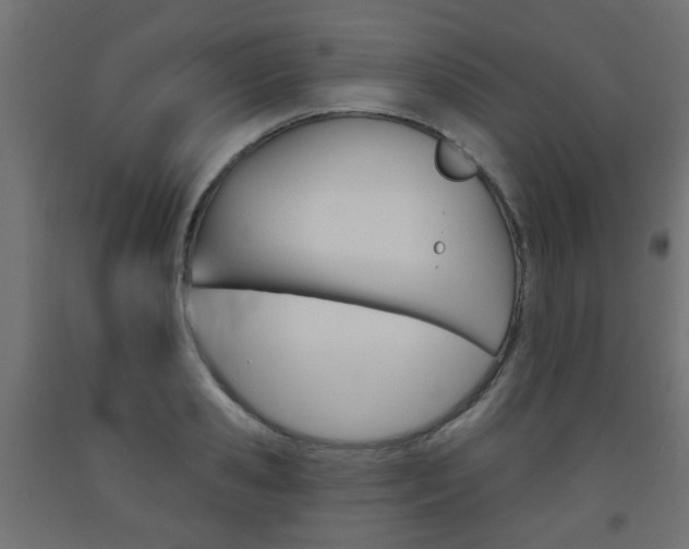 X0000093560941200710150953