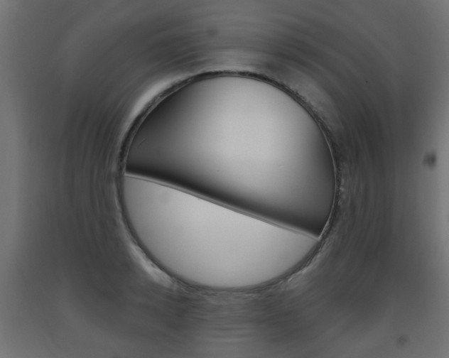 X0000093560942200710150953