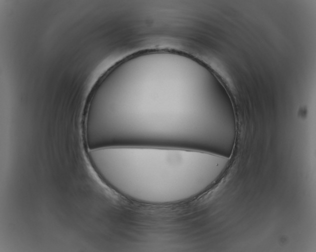X0000093560943200710150953