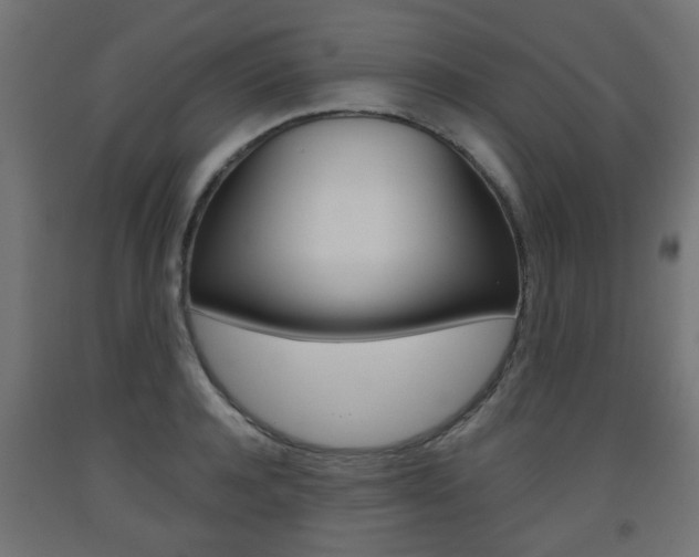X0000093560944200710150953