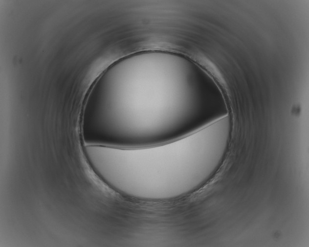 X0000093560946200710150953